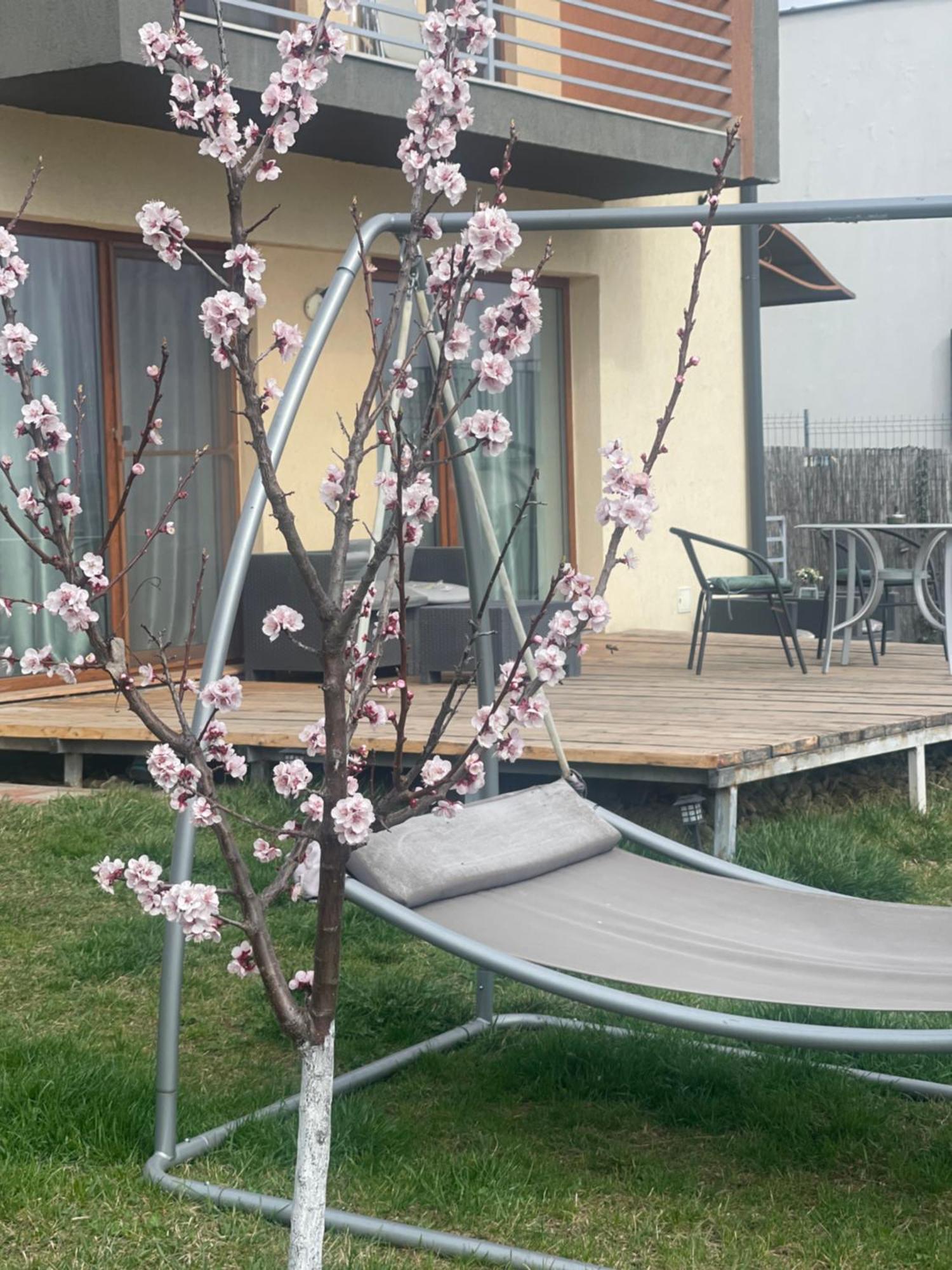 דירה Garsoniera La Curte *